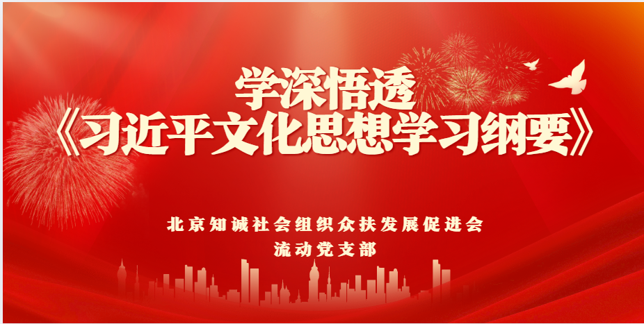 北京知诚社会组织众扶发展促进会党支部学深悟透《习近平文化思想学习纲要》凝聚奋进力量