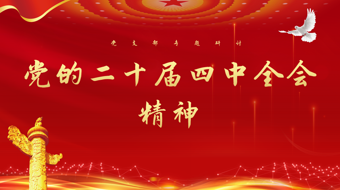 凝心聚力担使命 实干笃行谱新篇 ——党支部专题研讨党的二十届四中全会精神